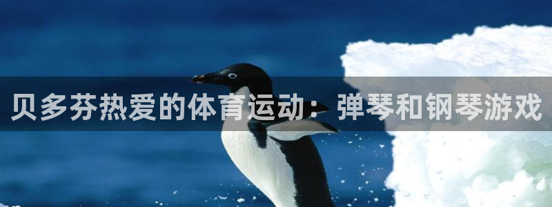 贝多芬热爱的体育运动：弹琴和钢琴游戏