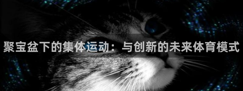 聚宝盆下的集体运动：与创新的未来体育模式