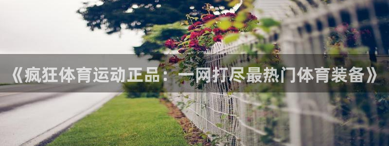 《疯狂体育运动正品：一网打尽最热门体育装备》