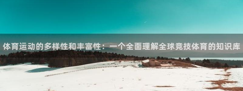 体育运动的多样性和丰富性：一个全面理解全球竞技体育的知识库