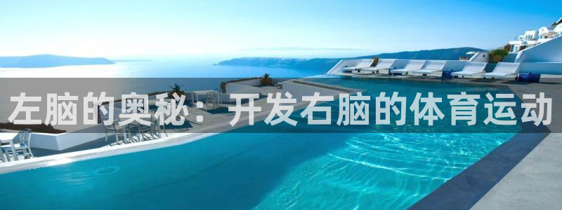 左脑的奥秘：开发右脑的体育运动