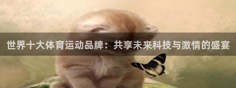 世界十大体育运动品牌：共享未来科技与激情的盛宴