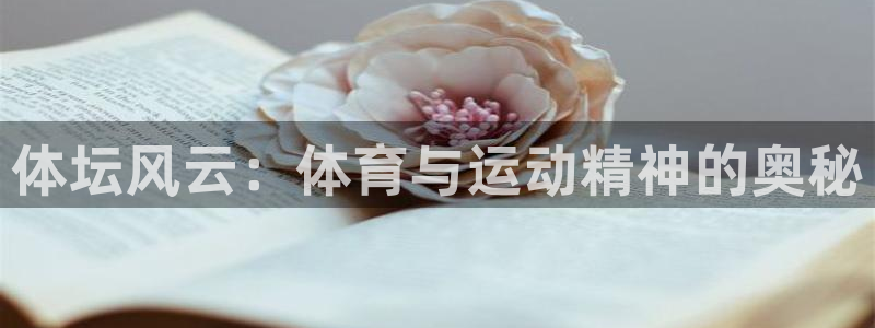 体坛风云：体育与运动精神的奥秘