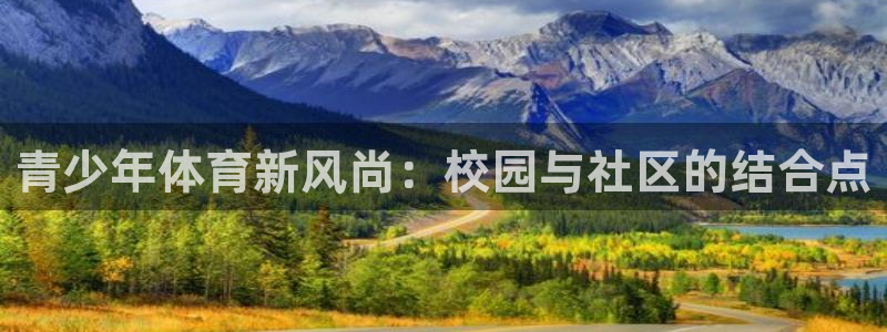 青少年体育新风尚：校园与社区的结合点