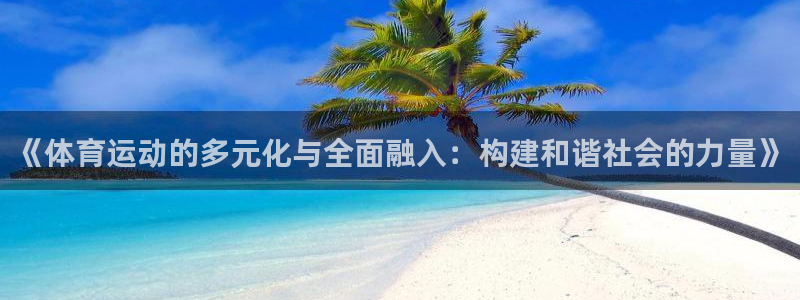 《体育运动的多元化与全面融入：构建和谐社会的力量》